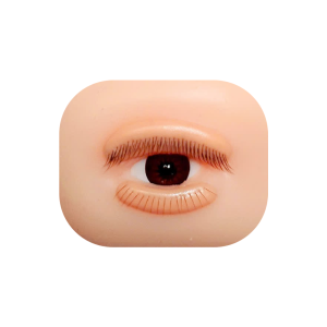 Removable Eyelids for Lash Training (Open eyes)