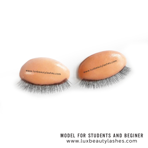 Removable Eyelids for Lash Training